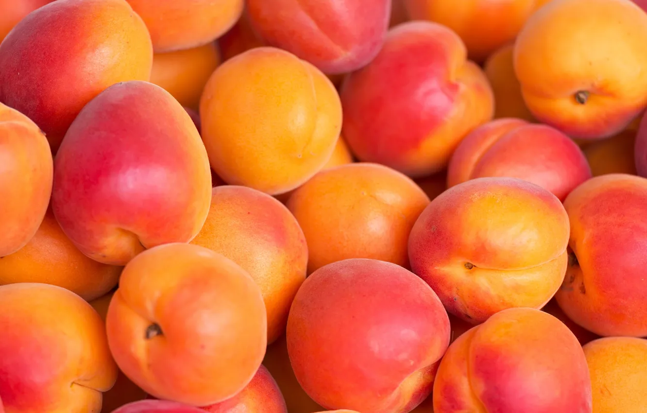 Photo wallpaper fruit, apricots, apricot