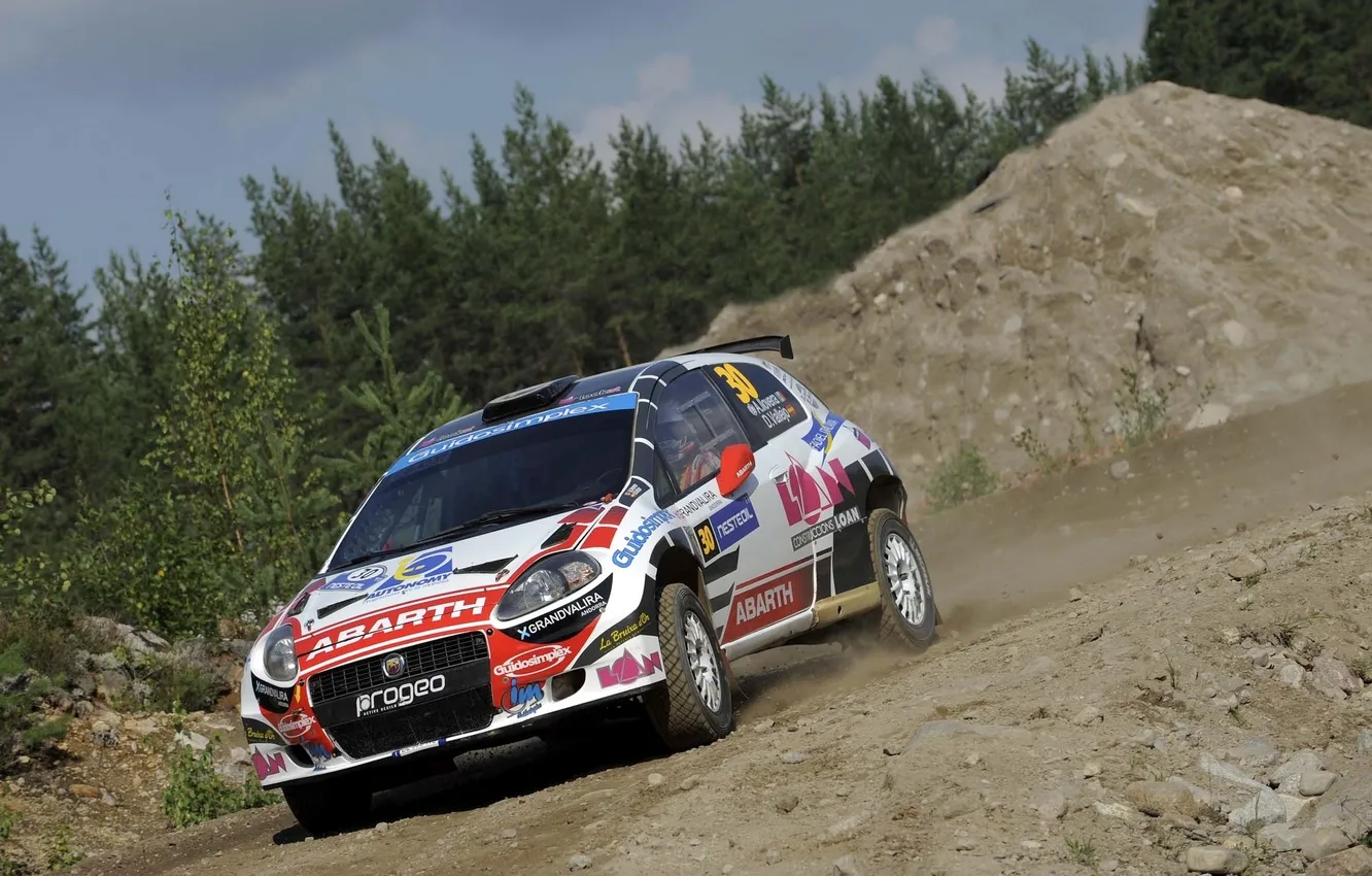 Photo wallpaper machine, forest, WRC, Rally, Rally, Abarth, Grande Punto