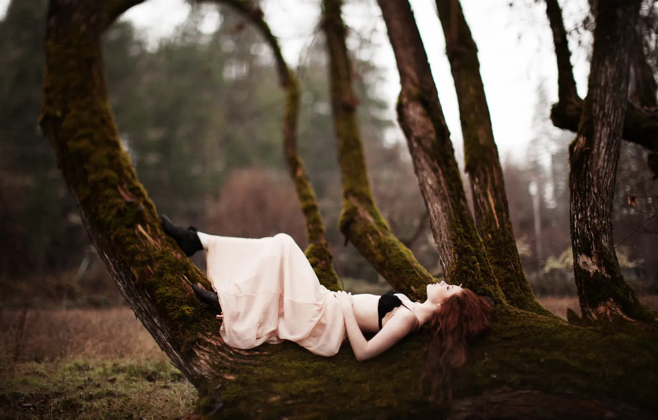 Photo wallpaper GIRL, TREE, LONELINESS, REDHEAD, LIES, DANIELLE