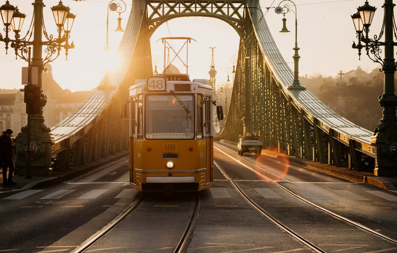 Photo wallpaper bridge, lights, tram, Hungary, Hungary, Budapest, Budapest, Liberty Bridge