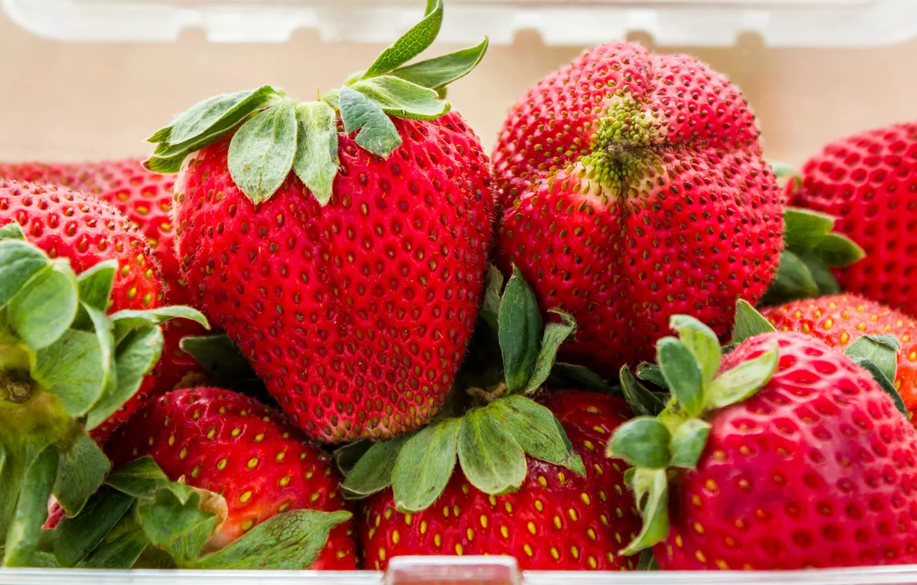 Photo wallpaper close-up, berries, strawberry