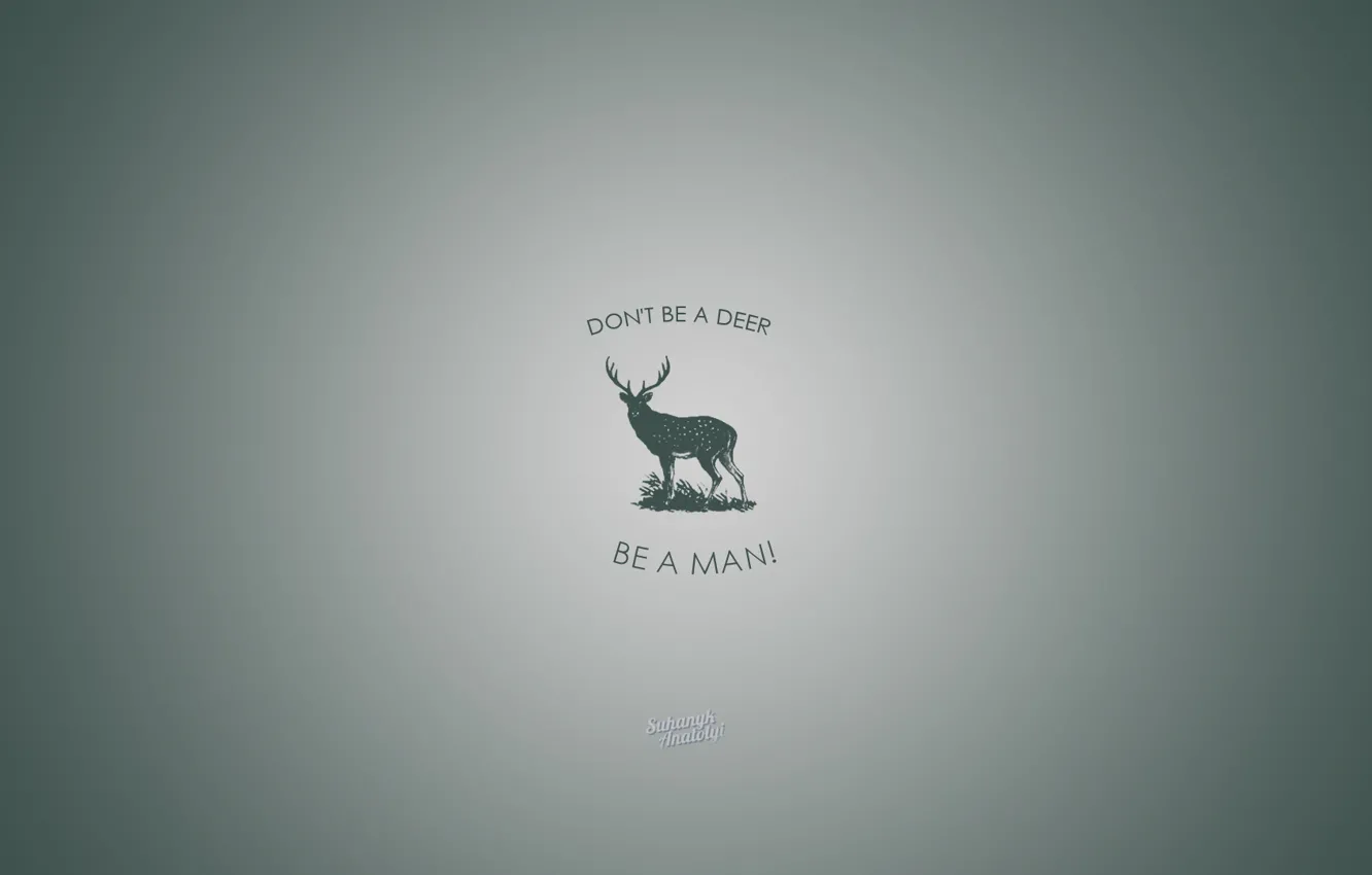 Photo wallpaper green, grey, animal, deer, horns, dont