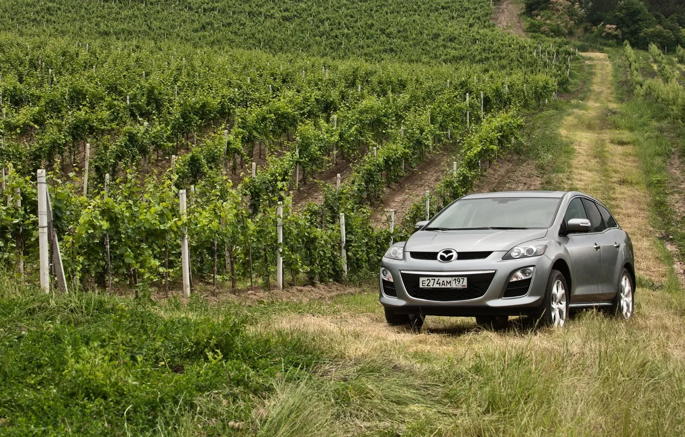 Photo wallpaper grass, grey, jeep, vineyard, Mazda, the front, Mazda, crossover
