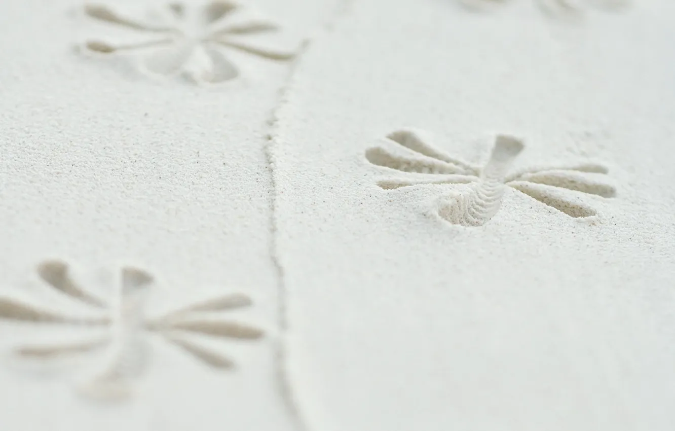 Photo wallpaper sand, traces, pattern