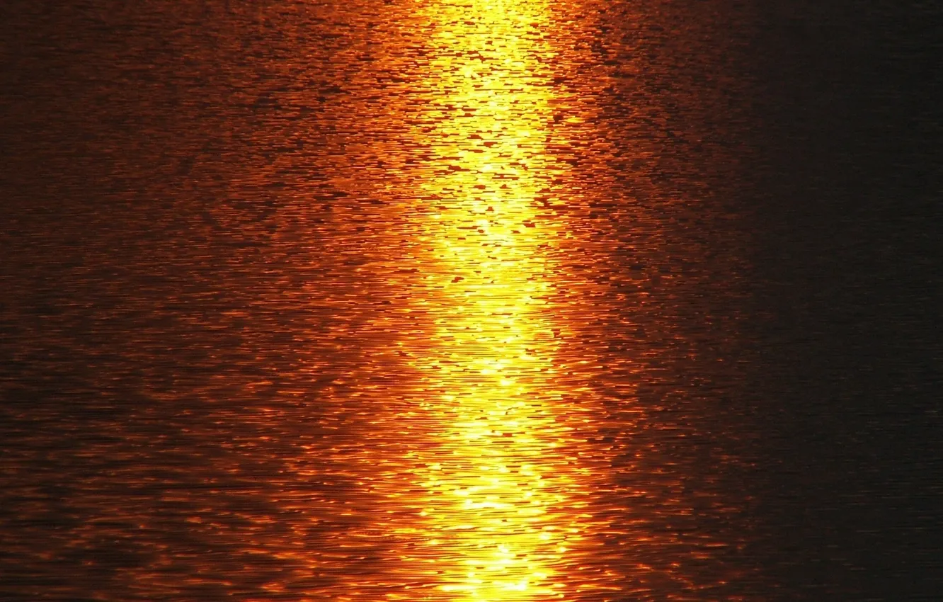 Photo wallpaper sea, water, the sun, light, sunset, nature, reflection, river