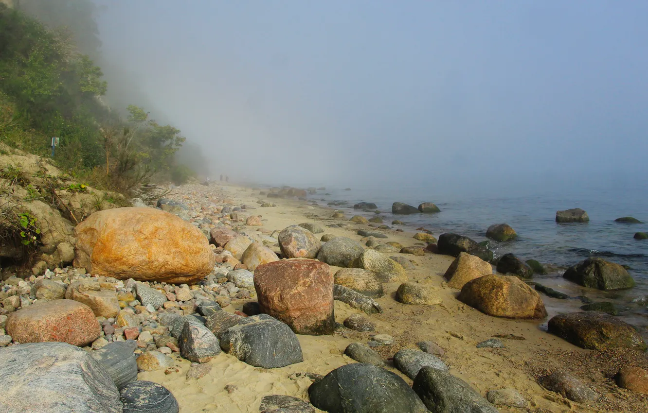 Photo wallpaper beach, sea, fog, stones