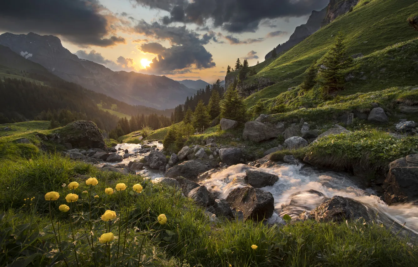 Photo wallpaper flowers, mountains, river, shore, for