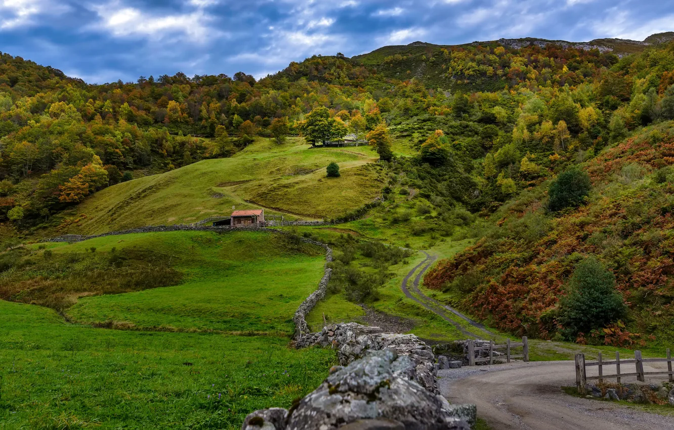 Photo wallpaper road, autumn, trees, hills, field, Spain, Leon