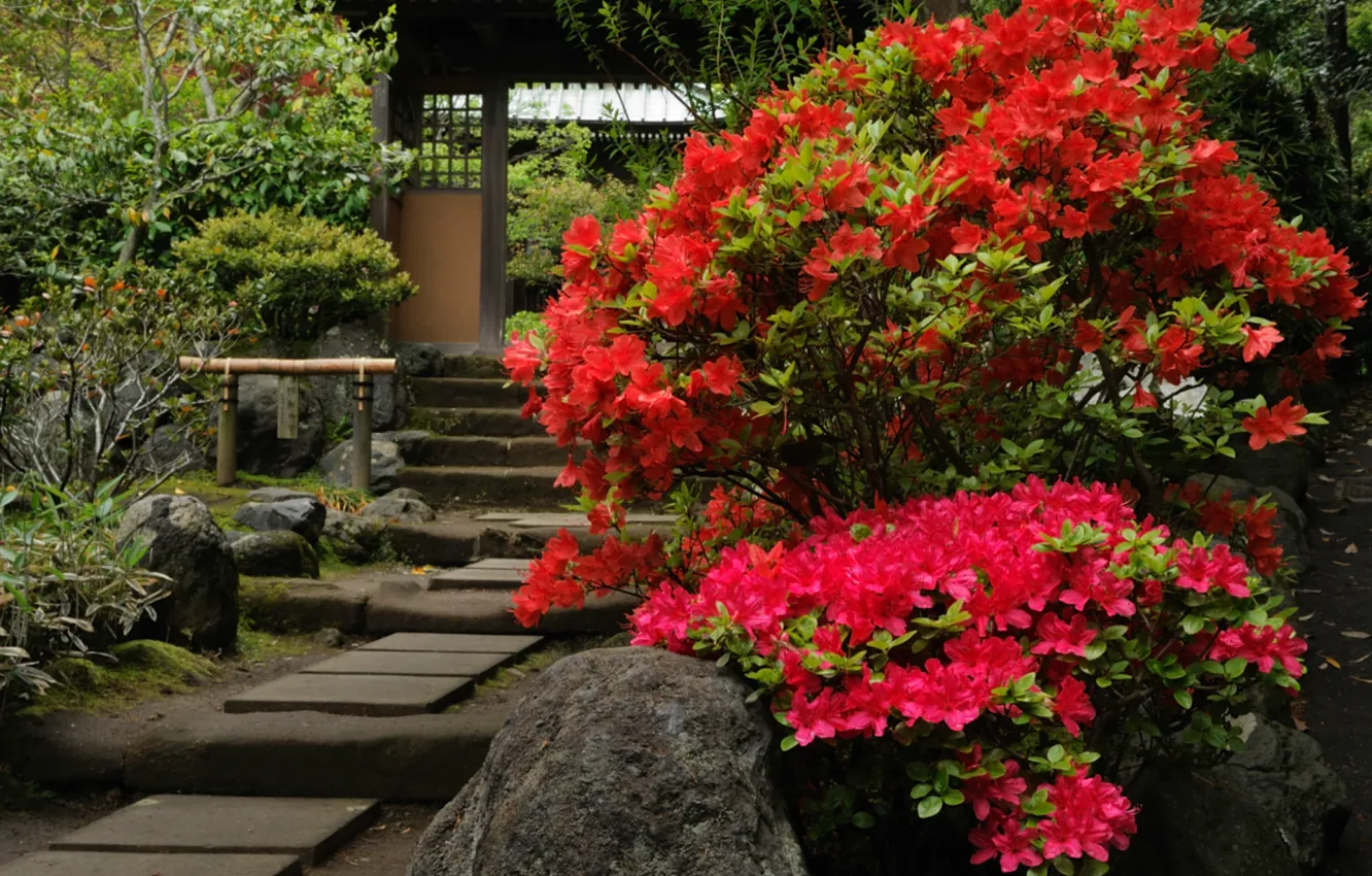 Photo wallpaper gate, stage, Japan, flowering, Inokobito