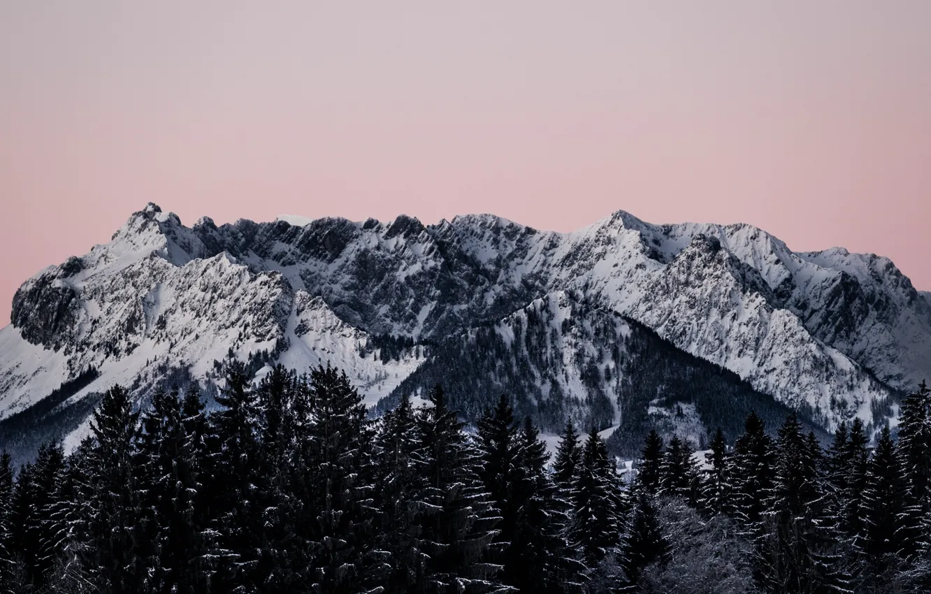 Photo wallpaper trees, nature, wood, winter, mountain, snow, Paul Fiedler