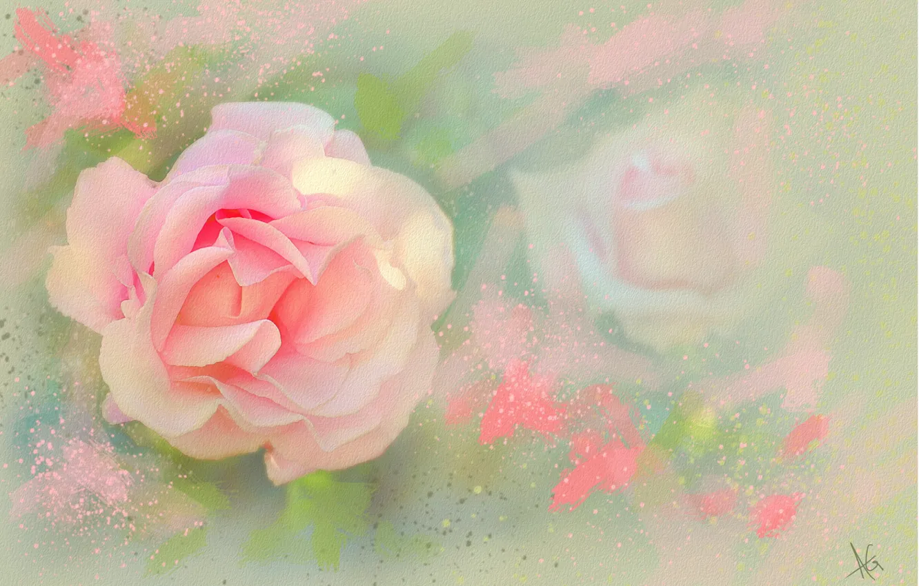 Photo wallpaper flowers, green, graphics, roses, pink, painting, gently, strokes