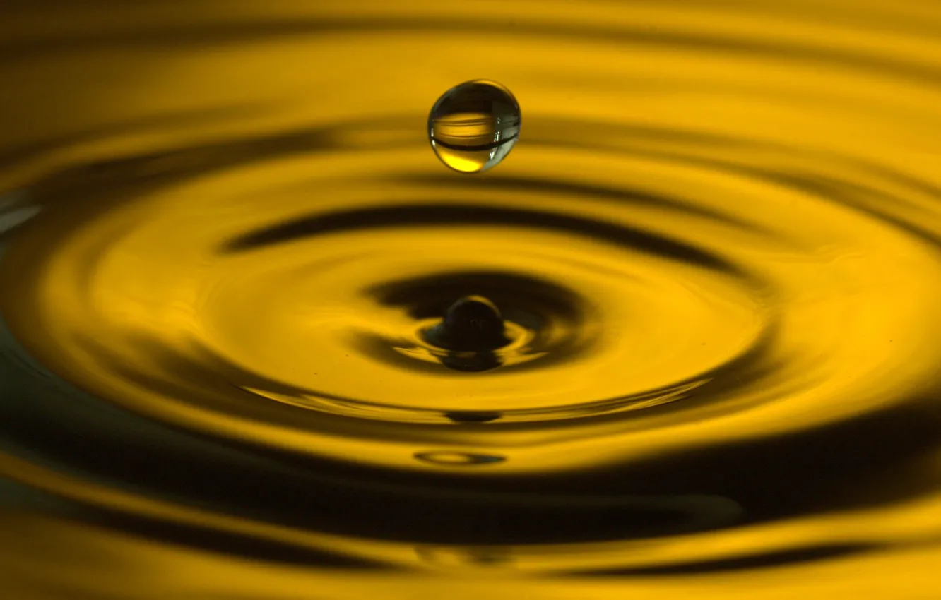 Photo wallpaper water, circles, drop, splash, yellow, drop, water, macro