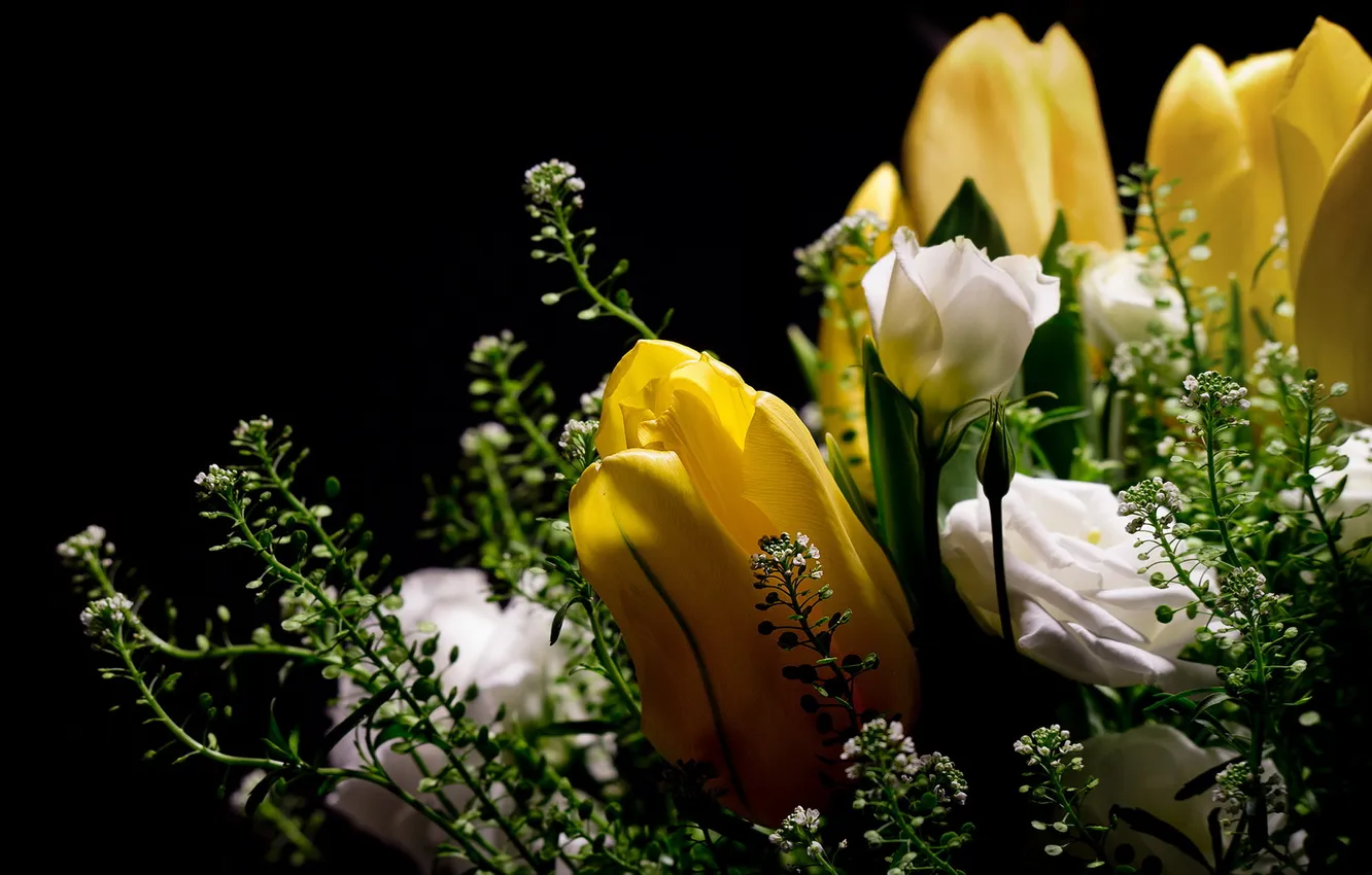 Photo wallpaper flowers, tulips, roses