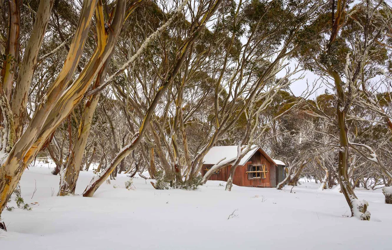 Photo wallpaper Australia, hut, Dinner Plain, winter