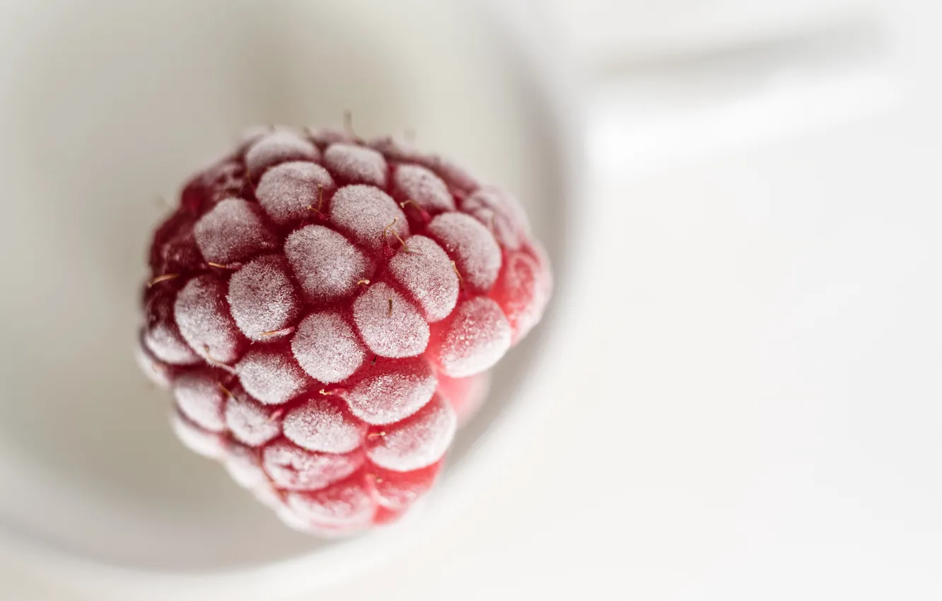 Photo wallpaper frost, berries, raspberry, frost