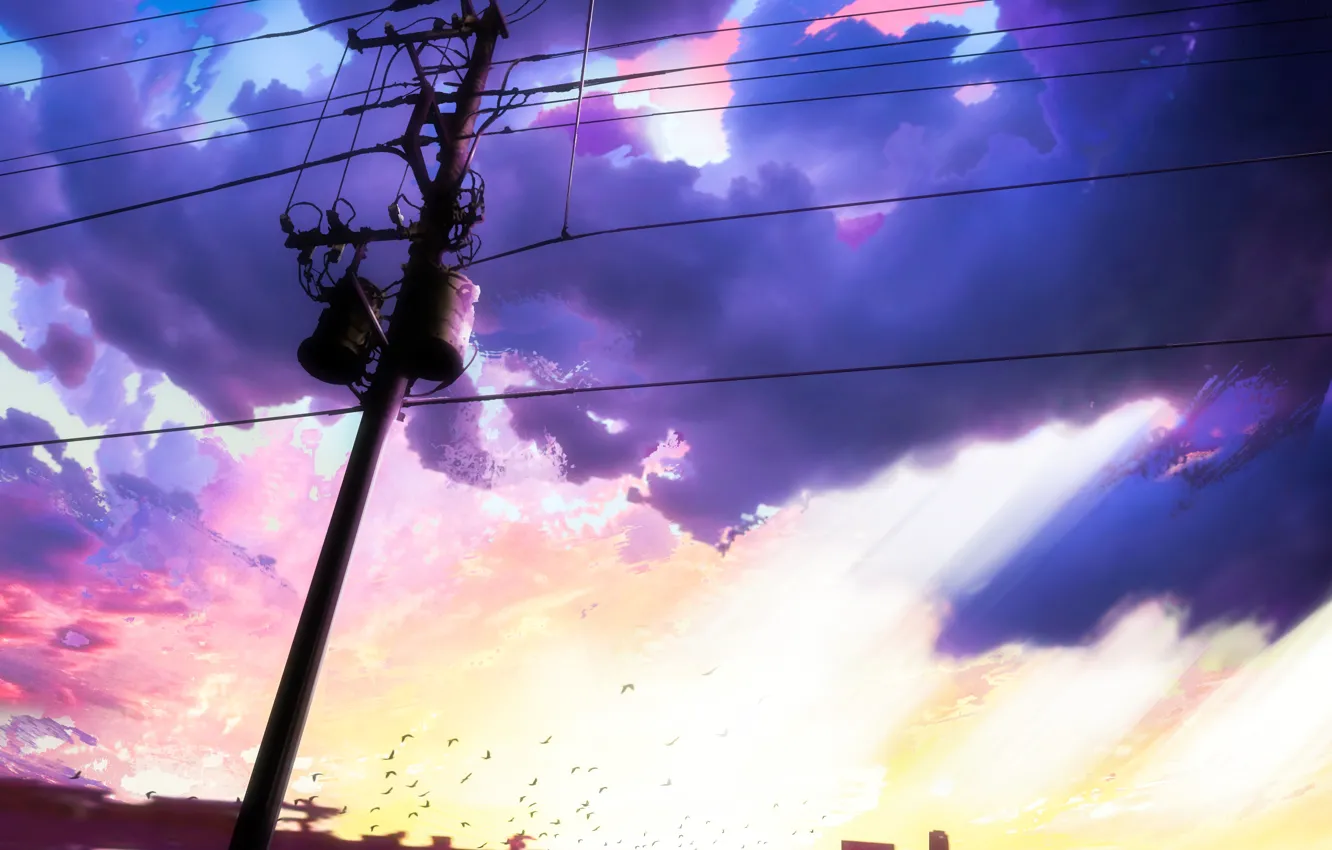 Photo wallpaper the sky, birds, clouds, the city, power lines
