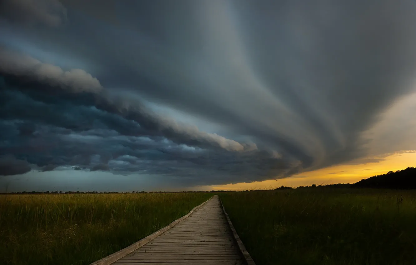 Photo wallpaper field, the sky, bridge