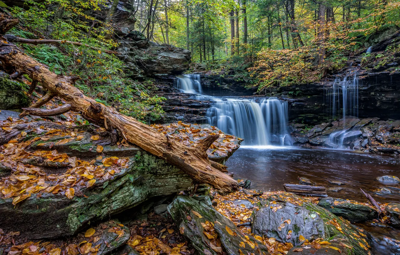 Photo wallpaper nature, rocks, shore, waterfall, stream
