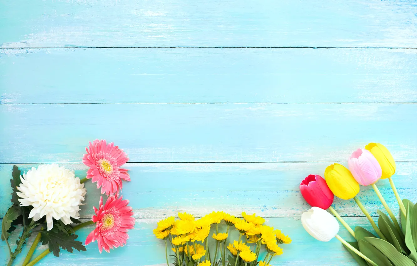 Photo wallpaper flowers, tulips, gerbera, chrysanthemum