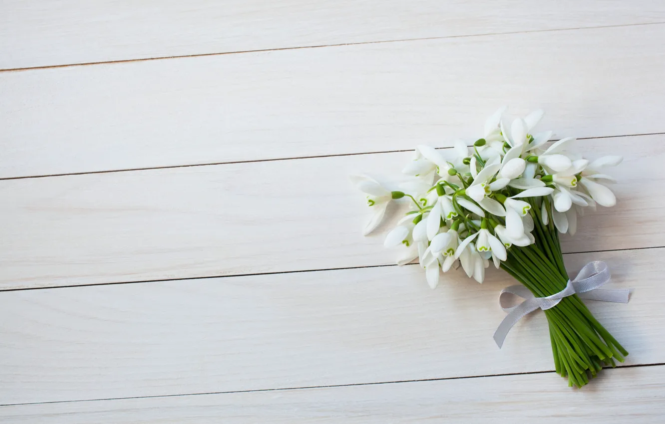 Photo wallpaper flowers, bouquet, spring, snowdrops, tape