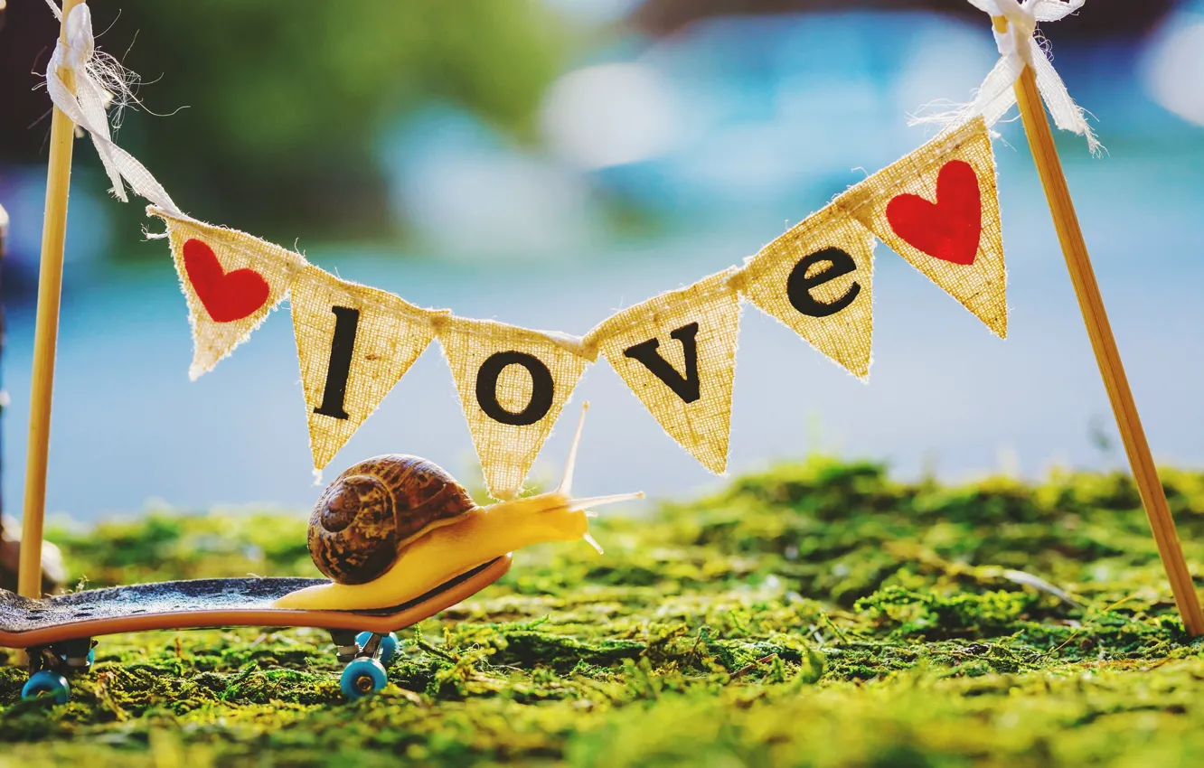 Photo wallpaper summer, grass, macro, light, love, the inscription, posts, snail