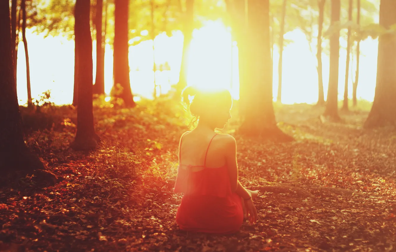 Photo wallpaper forest, girl, light