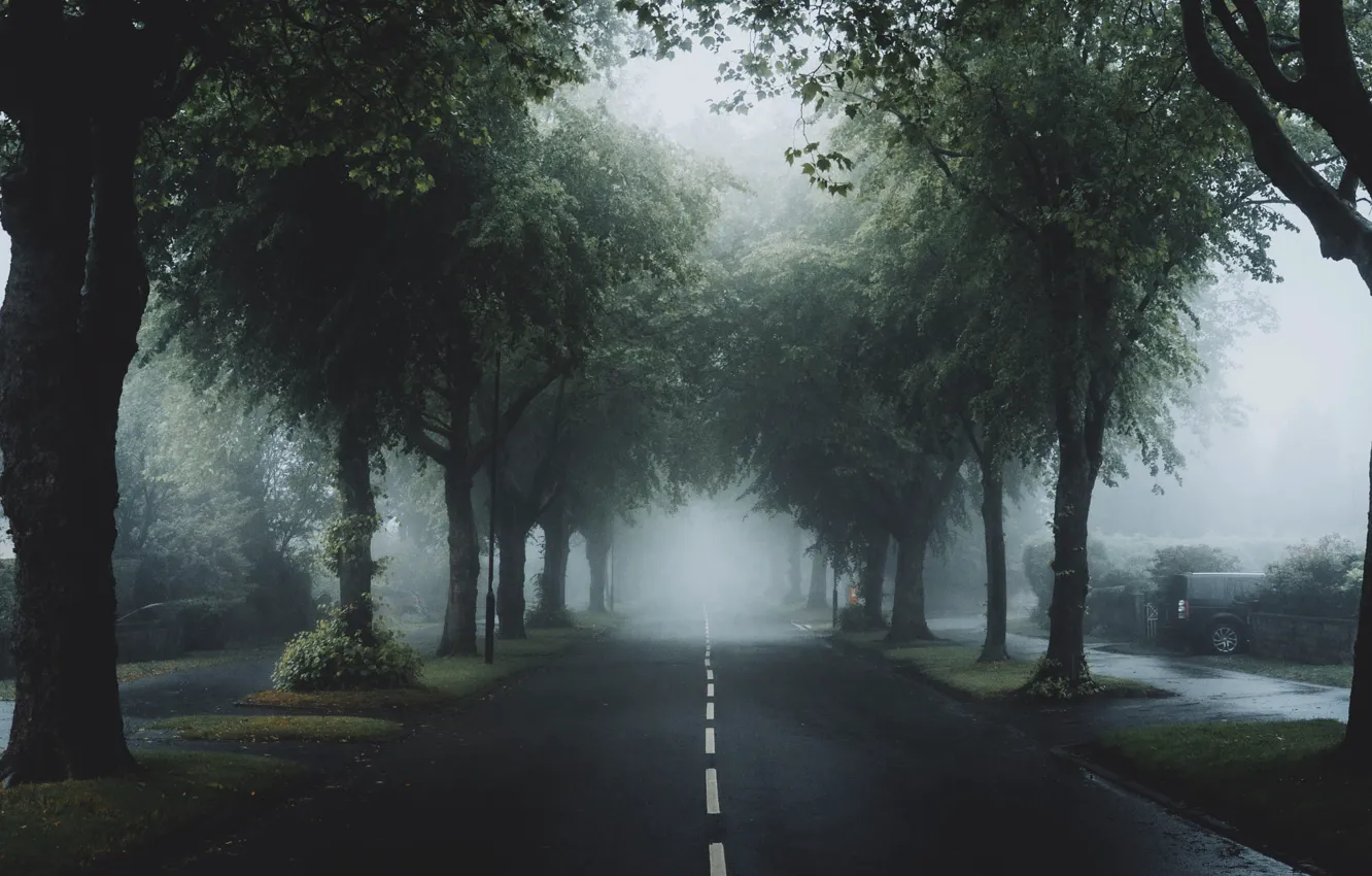 Photo wallpaper road, trees, fog, highway, alley