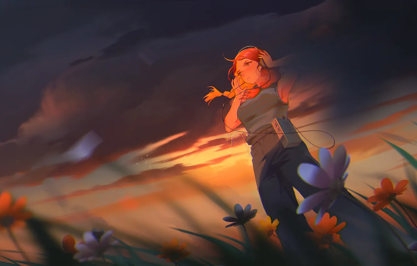 Photo wallpaper field, the sky, girl, flowers, headphones