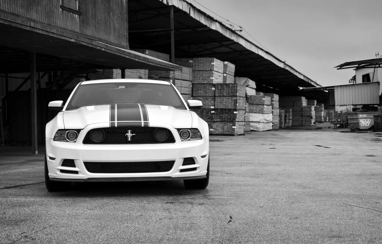 Photo wallpaper white, mustang, white, ford, the front, Ford Mustang, black and white photo, boss 302