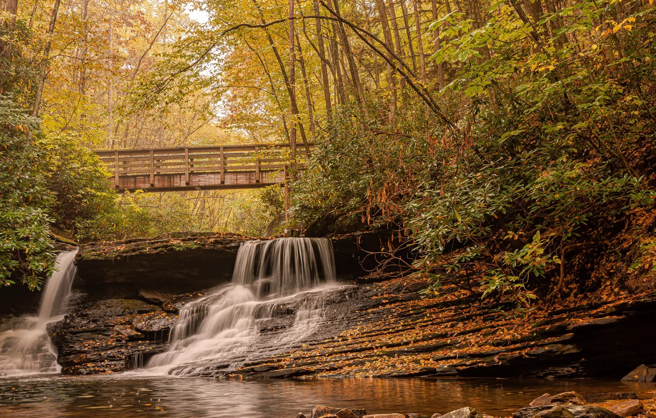 Photo wallpaper autumn, forest, leaves, trees, bridge, Park, stream, stones