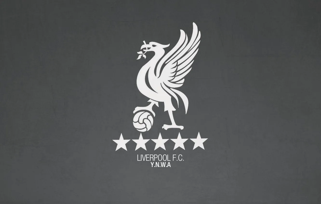 Photo wallpaper Liverpool, Liverpool FC, YNWA, Enfield