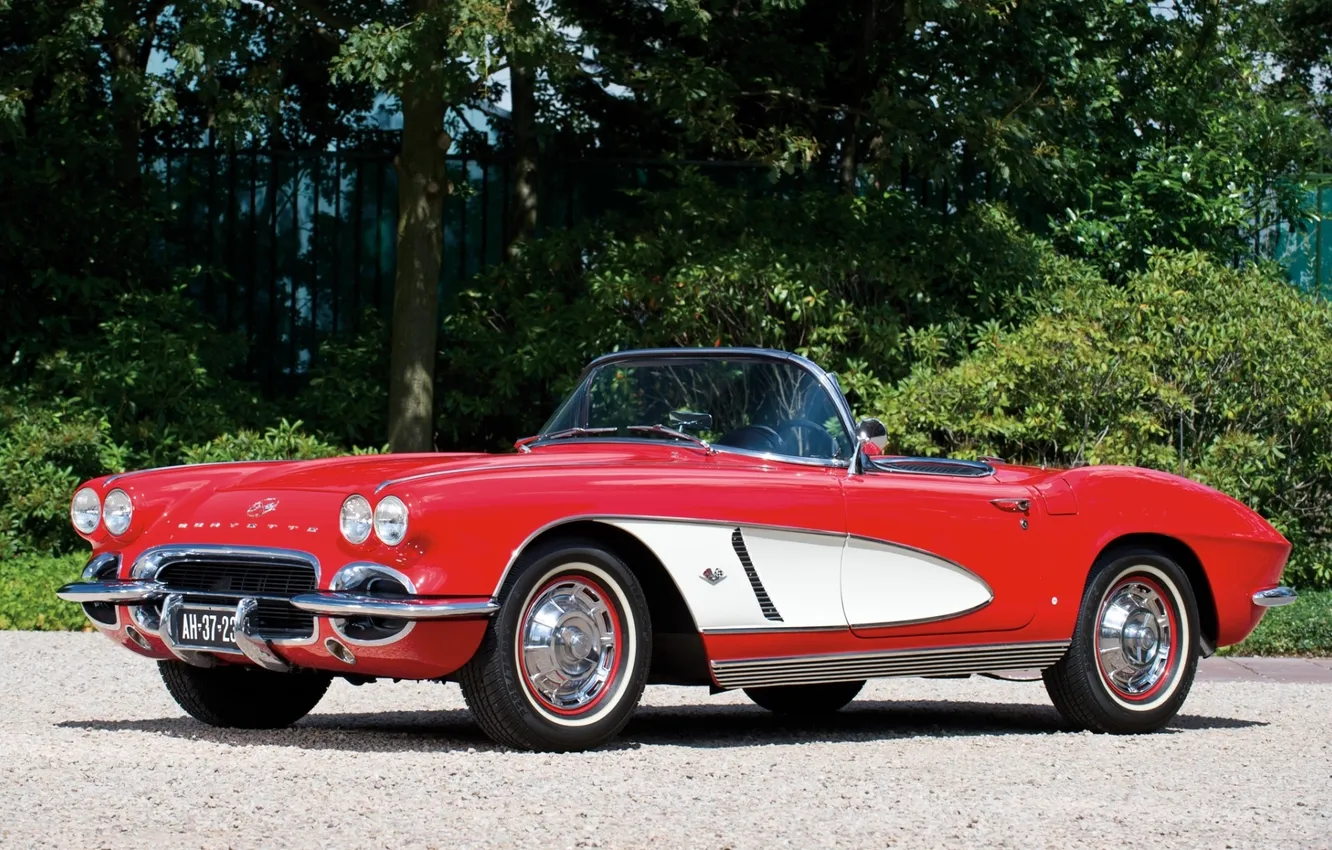 Photo wallpaper red, background, Corvette, Chevrolet, sports car, Chevrolet, classic, the bushes