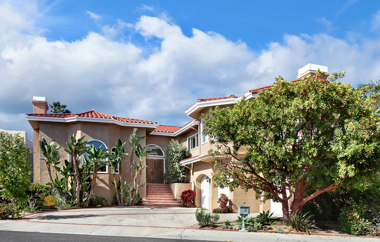 Photo wallpaper trees, the city, photo, landscape, home, the bushes