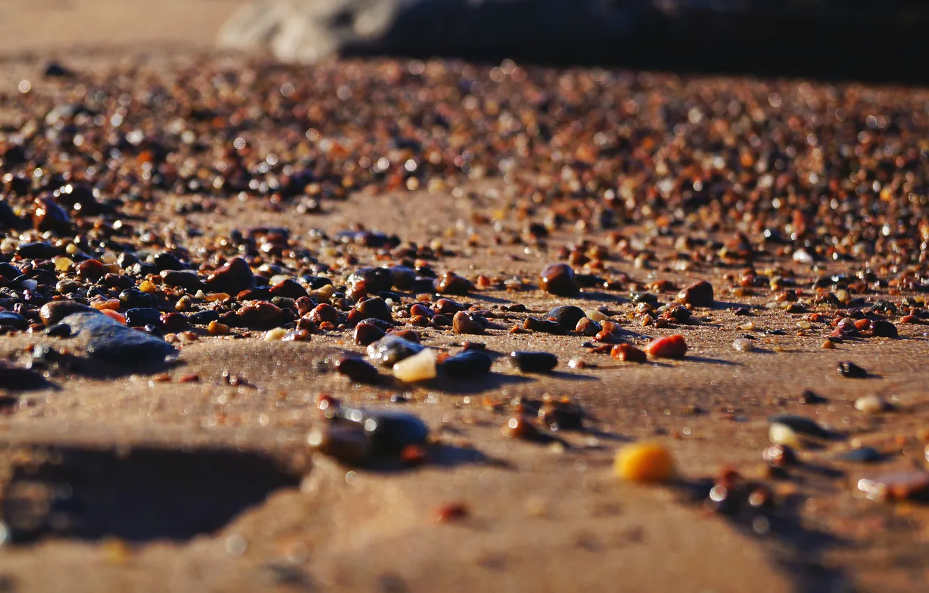 Photo wallpaper sand, beach, the sun, macro, lake, stones, bokeh
