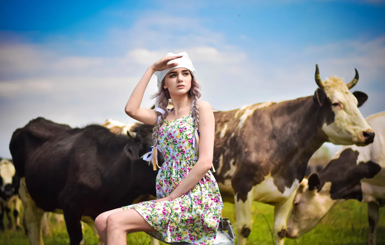 Photo wallpaper girl, cows, milkmaid, Arina Kolomiets