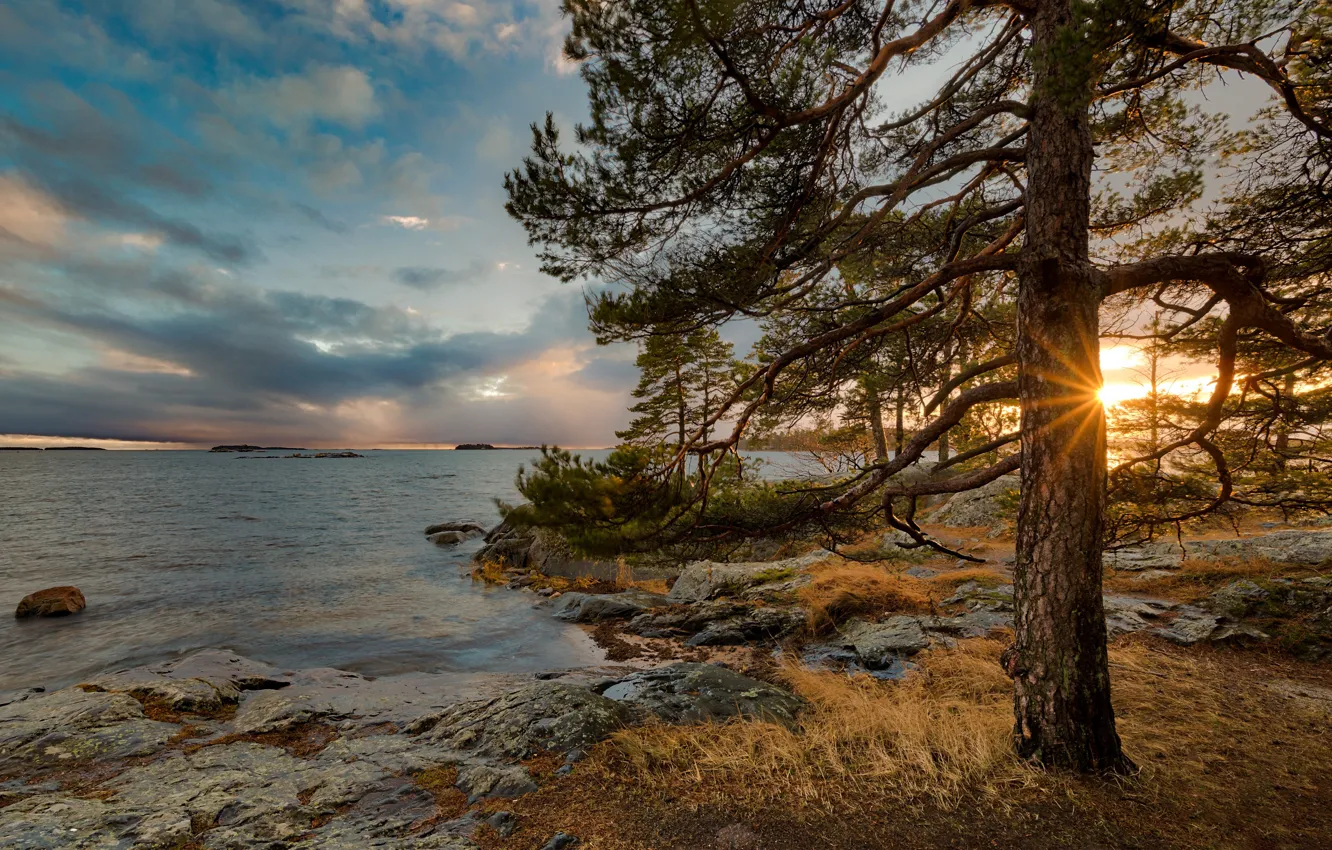 Photo wallpaper rays, trees, landscape, sunset, lake, Finland