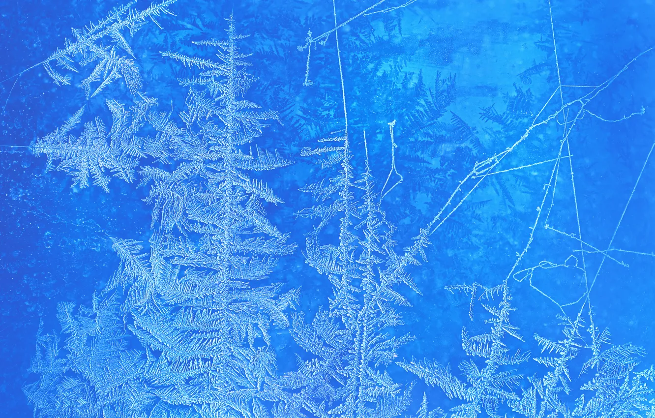 Photo wallpaper cold, winter, frost, glass, pattern, window