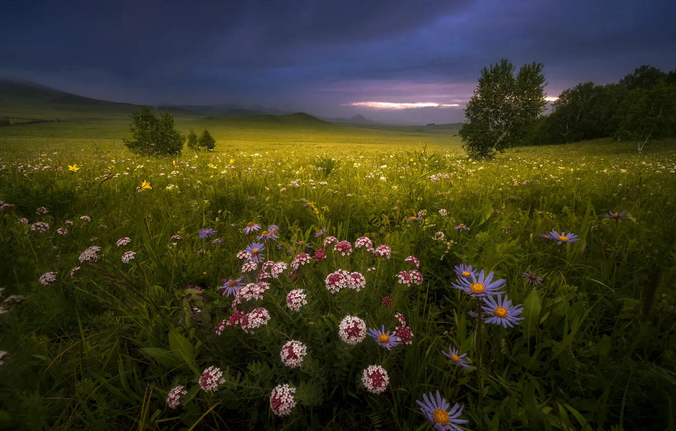 Photo wallpaper grass, landscape, flowers, mountains, clouds, nature, meadow