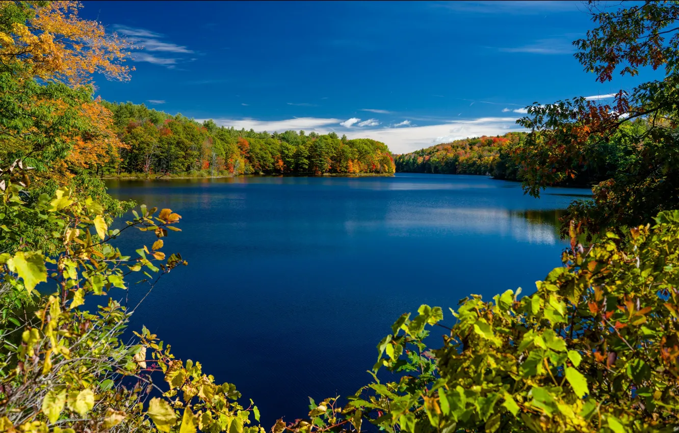 Photo wallpaper autumn, trees, branches, lake, New York, the state of new York, Adirondack Park, Rockwood Lake