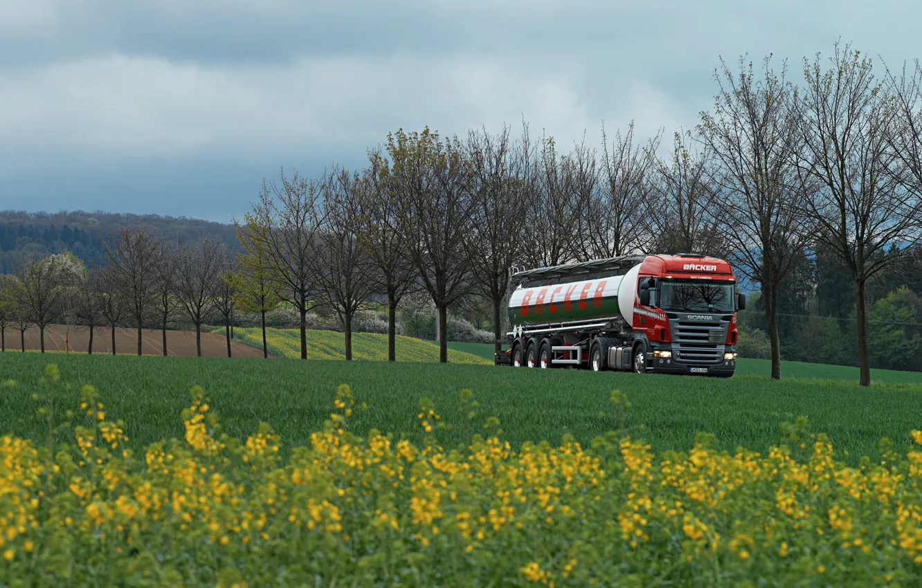 Photo wallpaper grass, trees, green, track, truck, tractor, tank, Scania R 380. field
