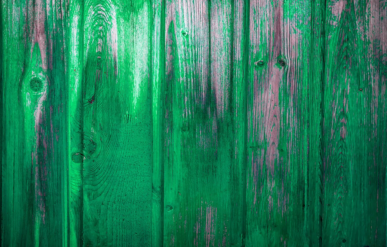 Photo wallpaper color, wood, texture
