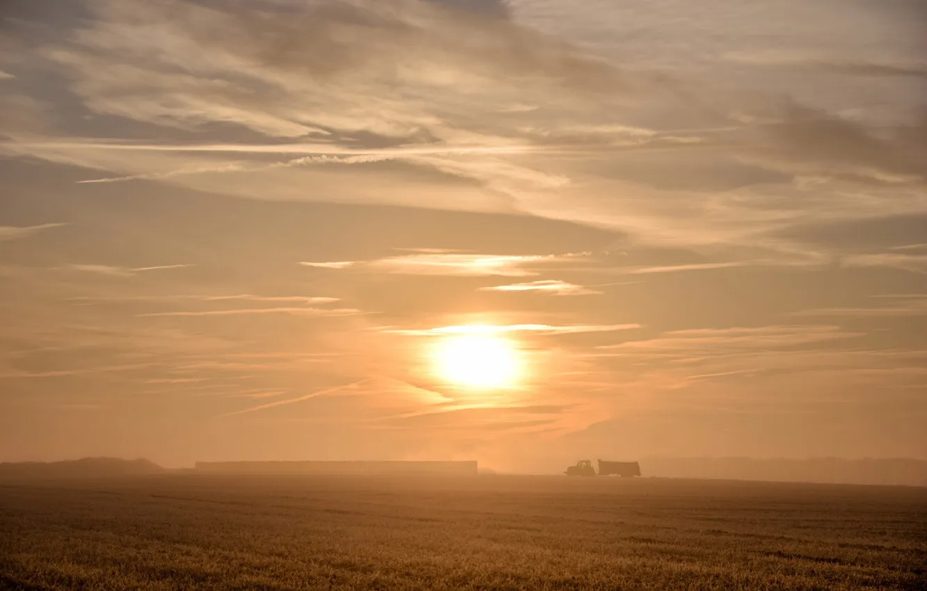 Photo wallpaper field, sunset, tractor