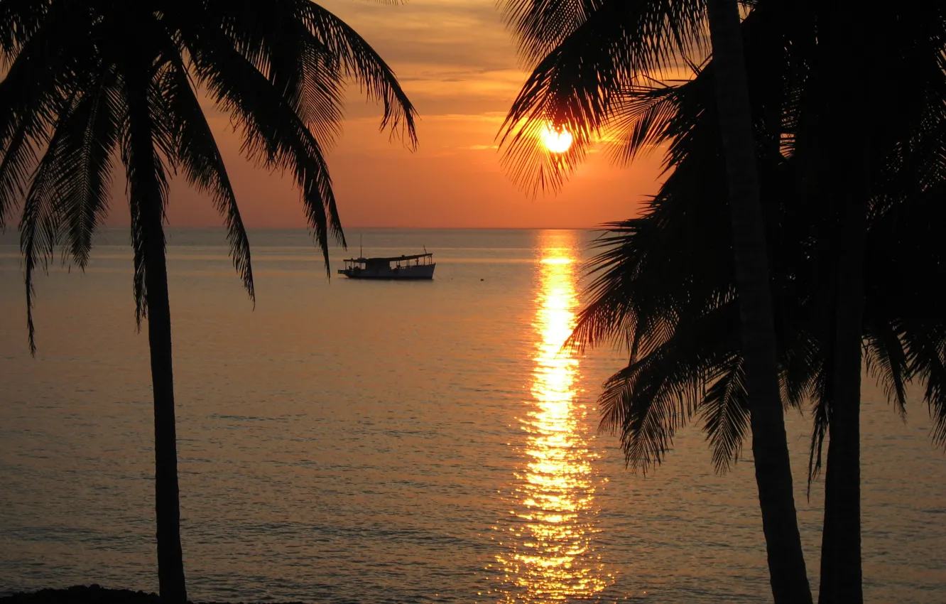 Photo wallpaper Sunset, Sea, Beach, Palm trees, Beach, Sunset, Cuba, Cuba