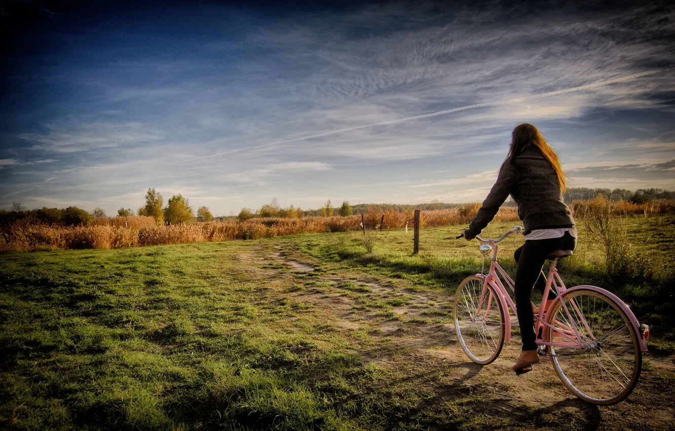 Photo wallpaper field, girl, trees, bike, fence