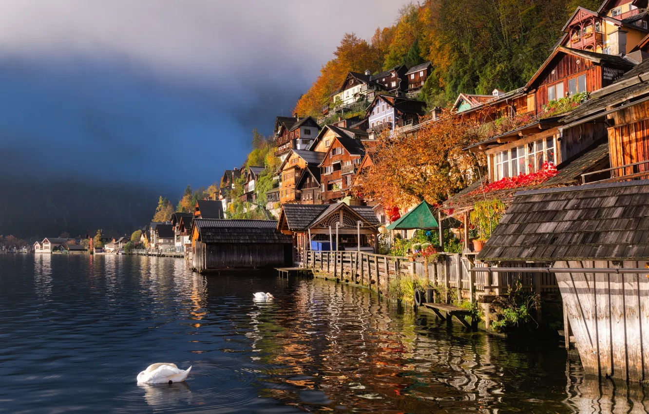 Photo wallpaper water, birds, lake, home, Austria, swans, Austria, Hallstatt