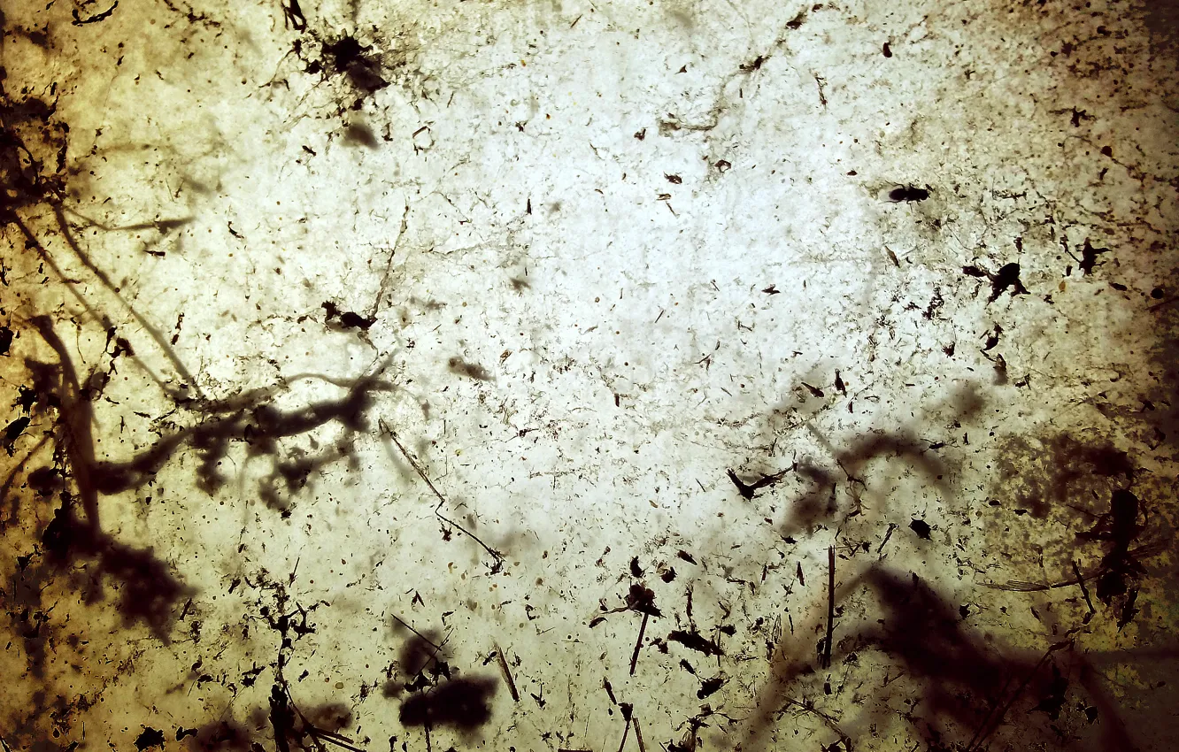 Photo wallpaper Chaos, dirt, window