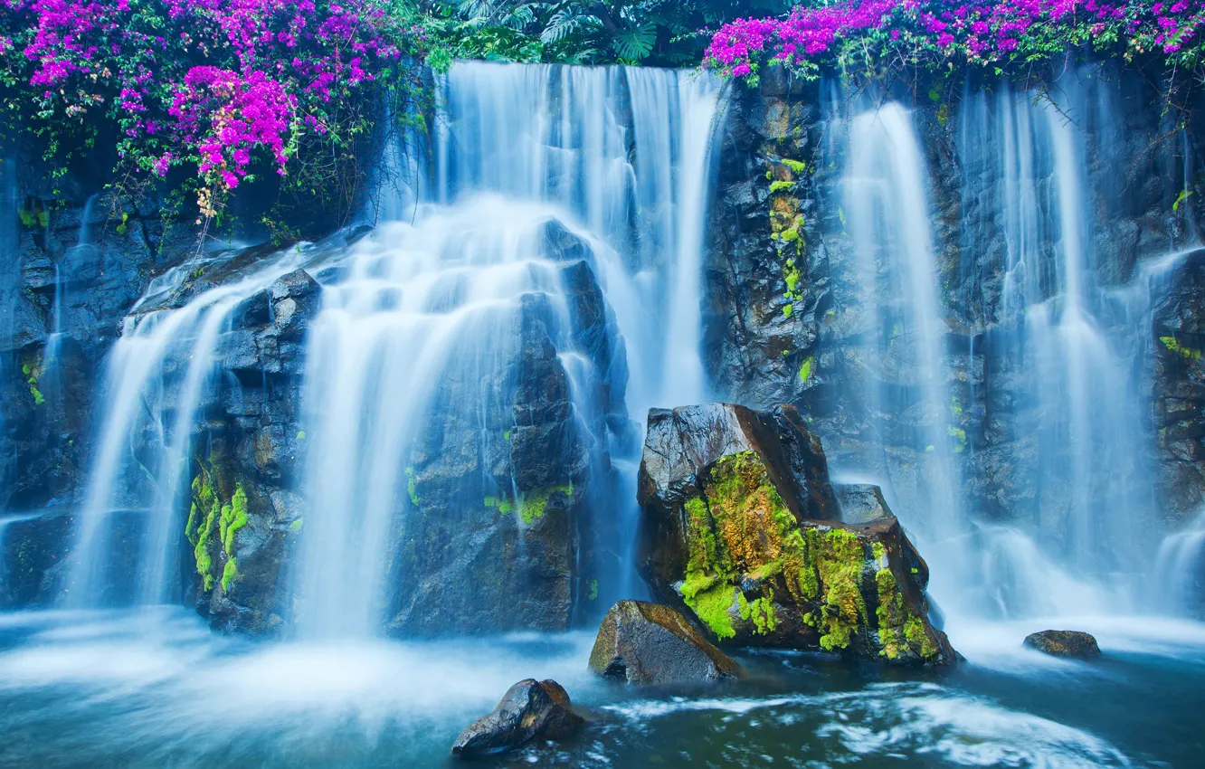 Photo wallpaper flowers, blue, stones, waterfall, moss, the bushes