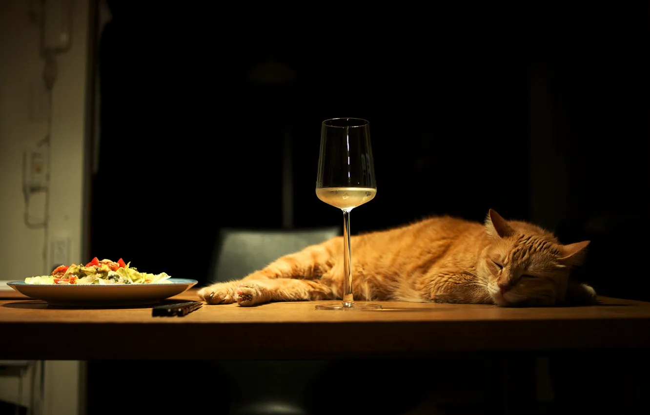 Photo wallpaper cat, cat, light, pose, table, wine, glass, food