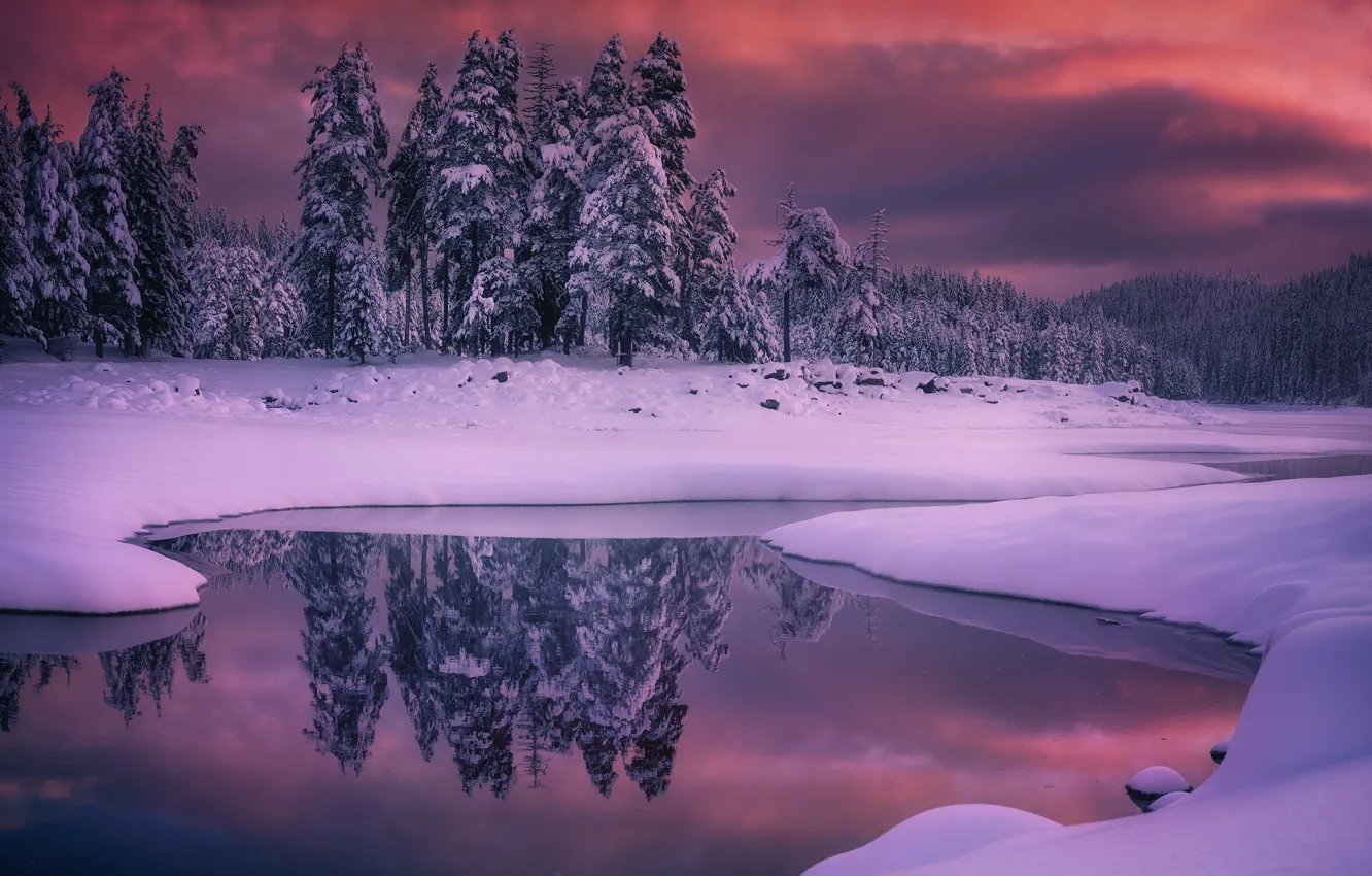 Photo wallpaper winter, forest, snow, landscape, sunset, nature, reflection, river