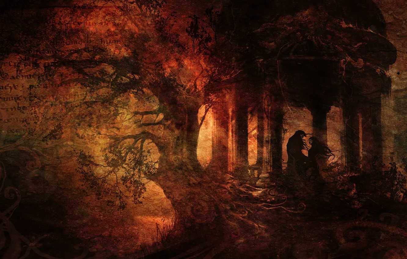 Photo wallpaper forest, letter, girl, text, roots, tree, meeting, dark